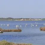Vista Tavolara