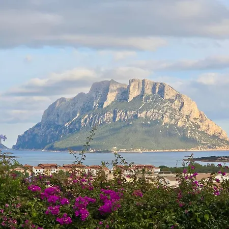 Vista Tavolara Villa *