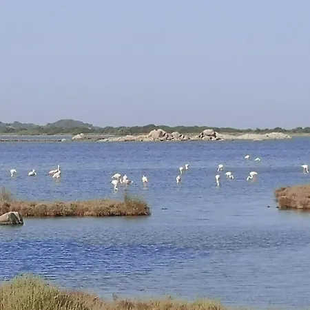 Vista Tavolara