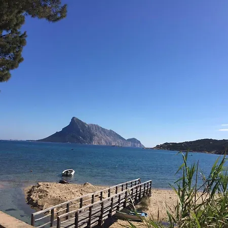 Vista Tavolara *