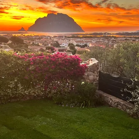 Vista Tavolara *