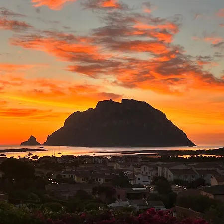 Vista Tavolara Villa Porto San Paolo (Sardinia)