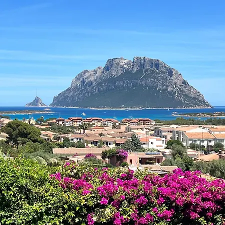 Vista Tavolara Villa